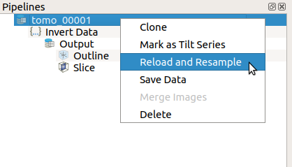 Reload and Resample Context Menu